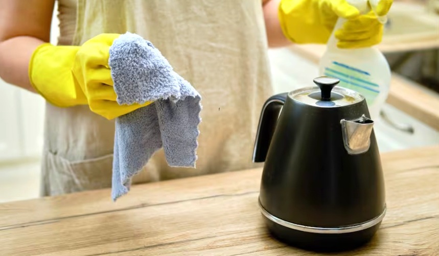 LIMPIEZA DE PAVA ELECTRICA